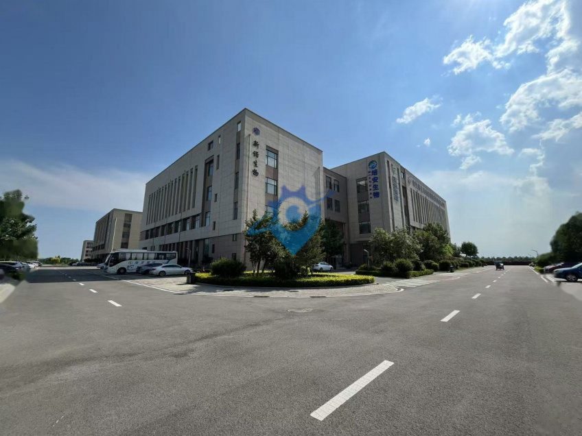 秦皇岛中关村生命园，厂房办公楼出租出售，可定制化厂房